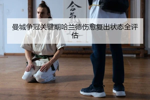 man-cheng-zheng-guan-guan-jian-qi-ha-lan-de-shang-yu-fu-chu-zhuang-tai-quan-ping-gu-2-731.jpg